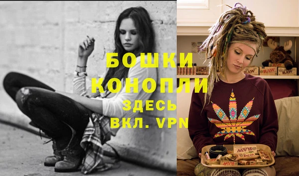 стафф Богородицк