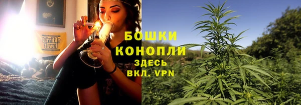 стафф Богородицк