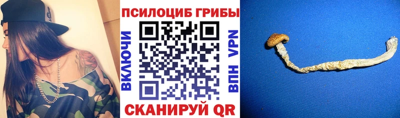 Псилоцибиновые грибы Psilocybine cubensis  kraken tor  Мичуринск 